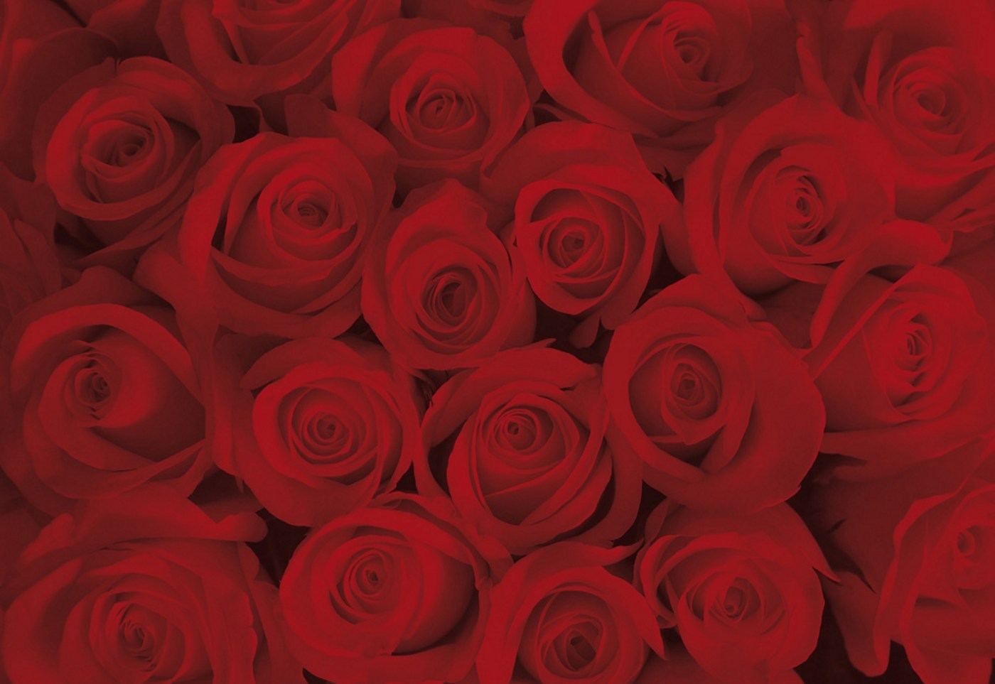 caro_kitten - Onlyfans Leaked Images 2