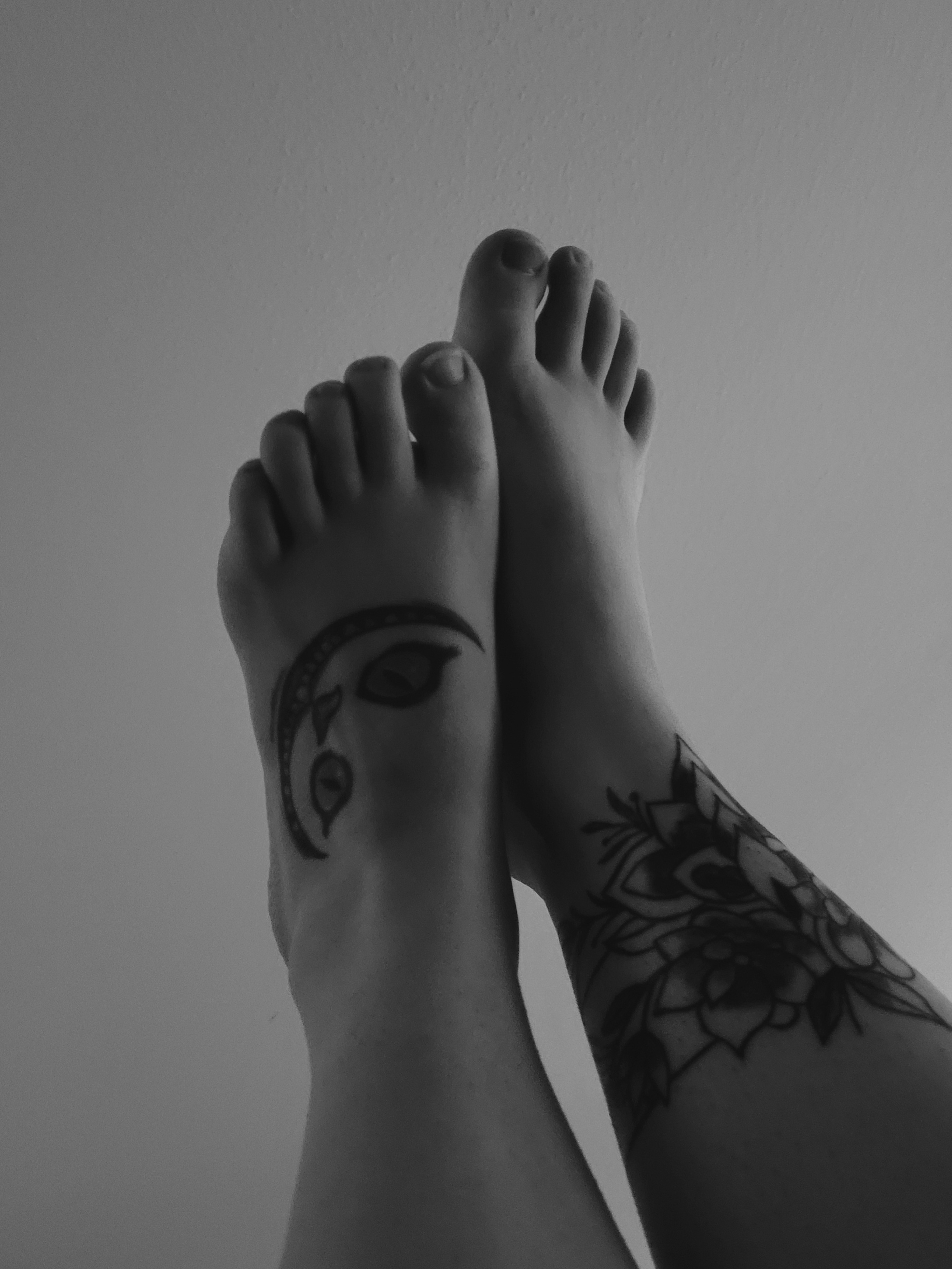 kiiittypaws - Onlyfans Leaked Images 2