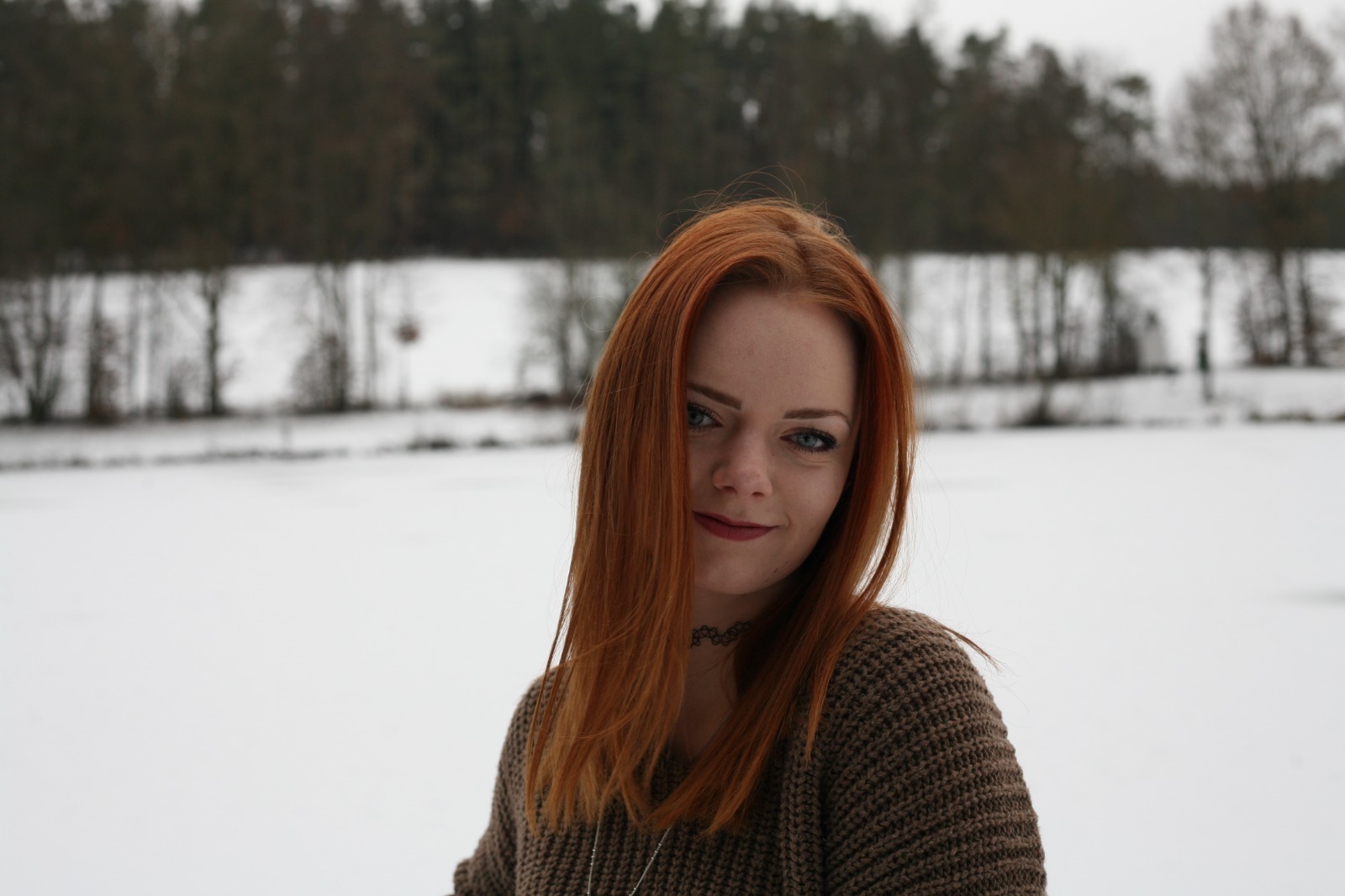 leanici - Profile preview