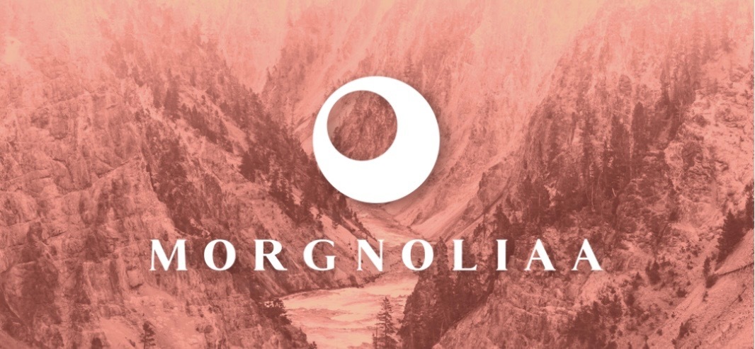 morgnoliaa - Onlyfans Leaked Images 2