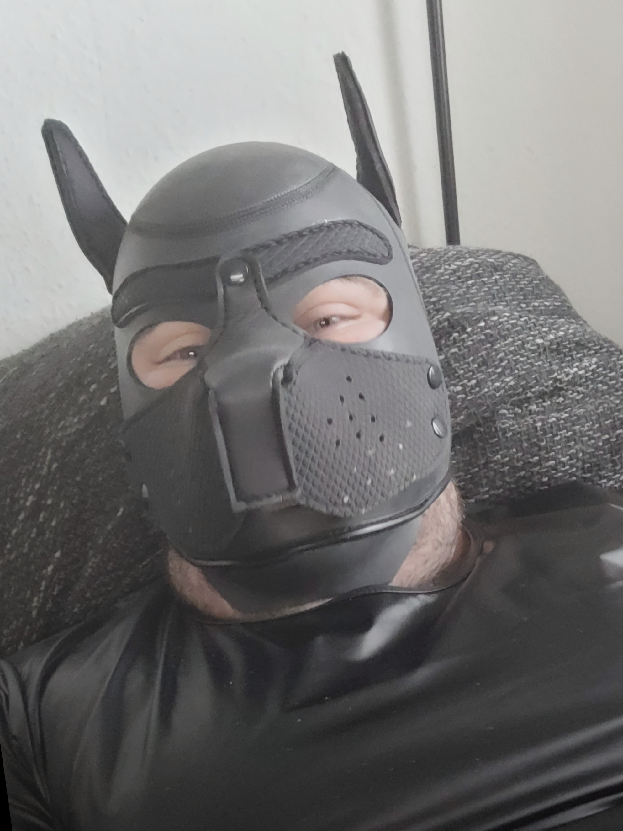 puppy_kecks - Onlyfans Leaked Images 2
