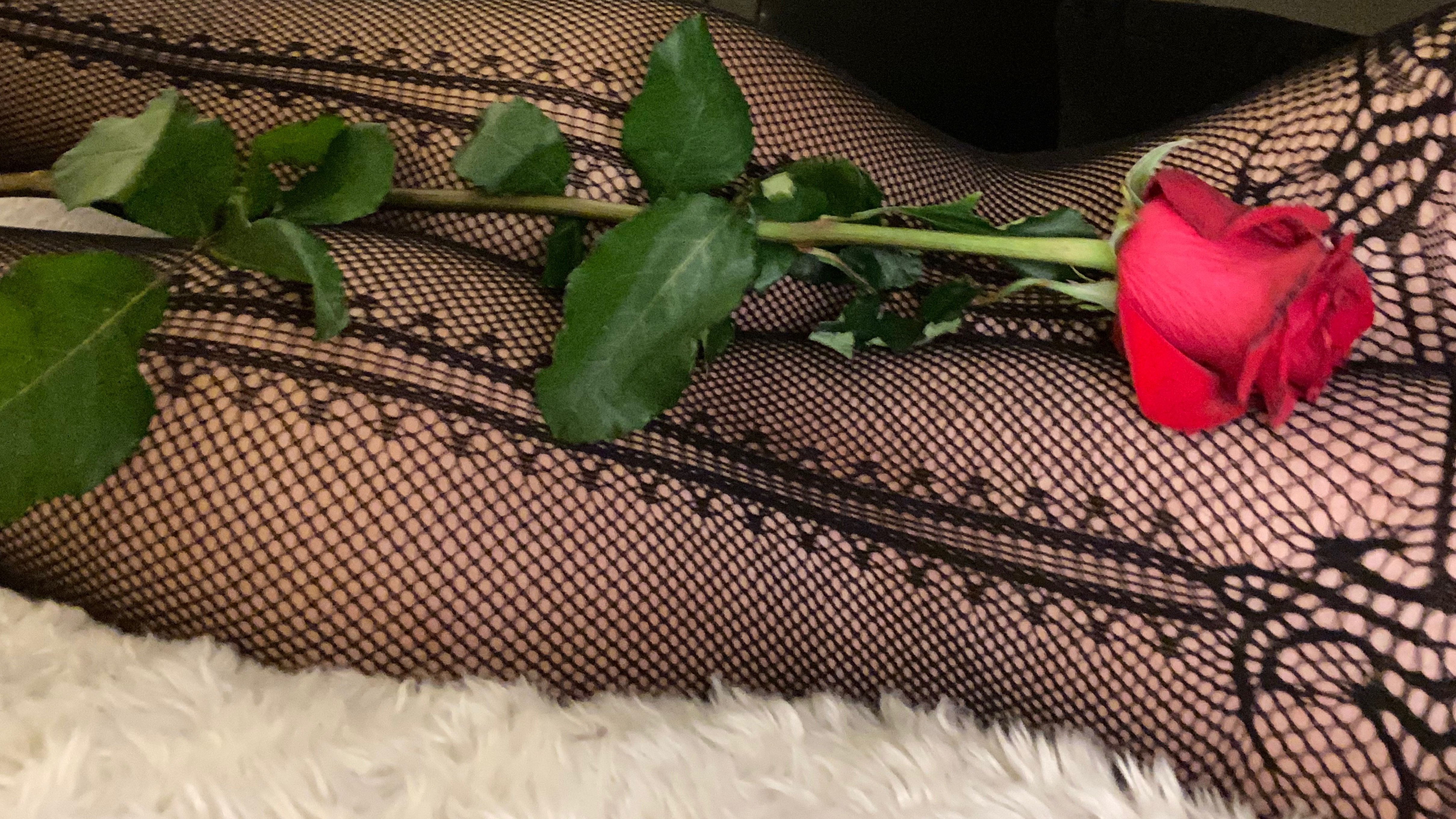roxielike - Onlyfans Leaked Images 2