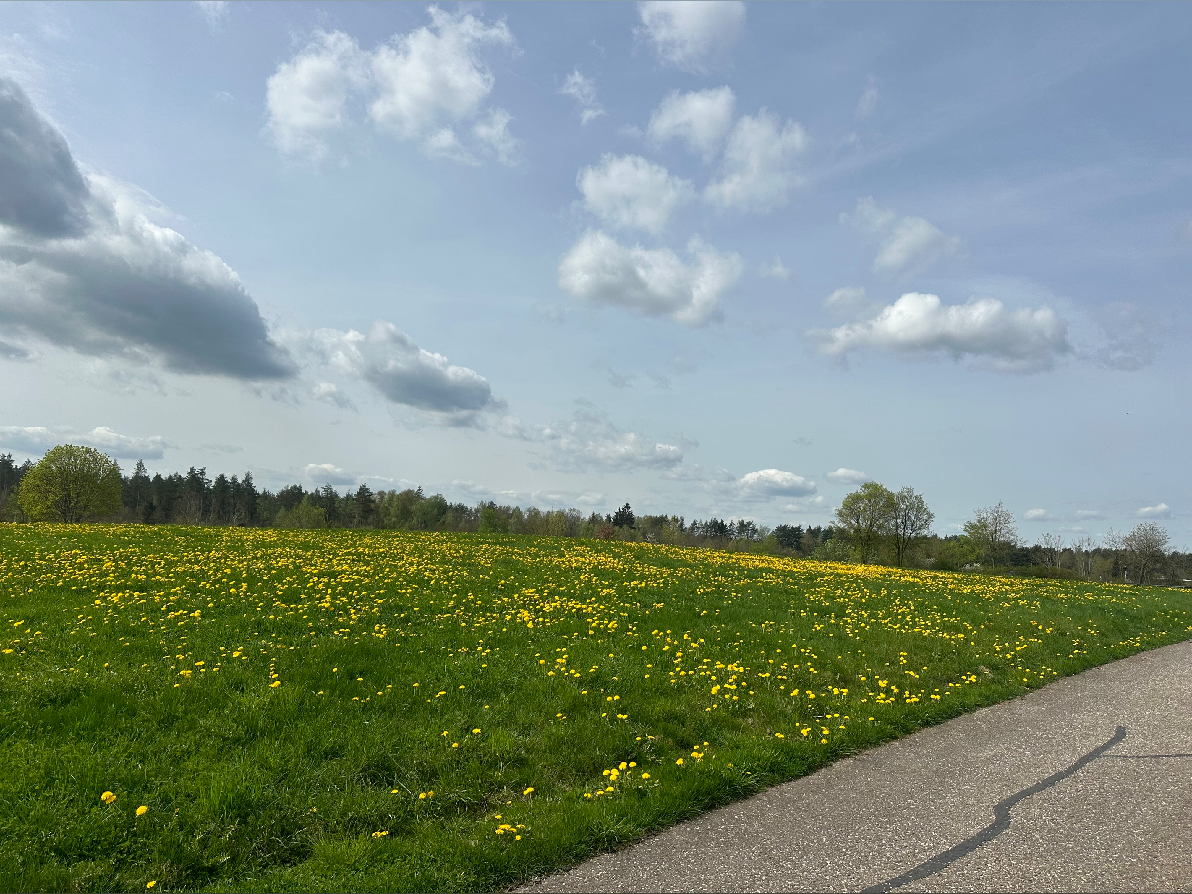 sexxxxqueen - Onlyfans Leaked Images 2