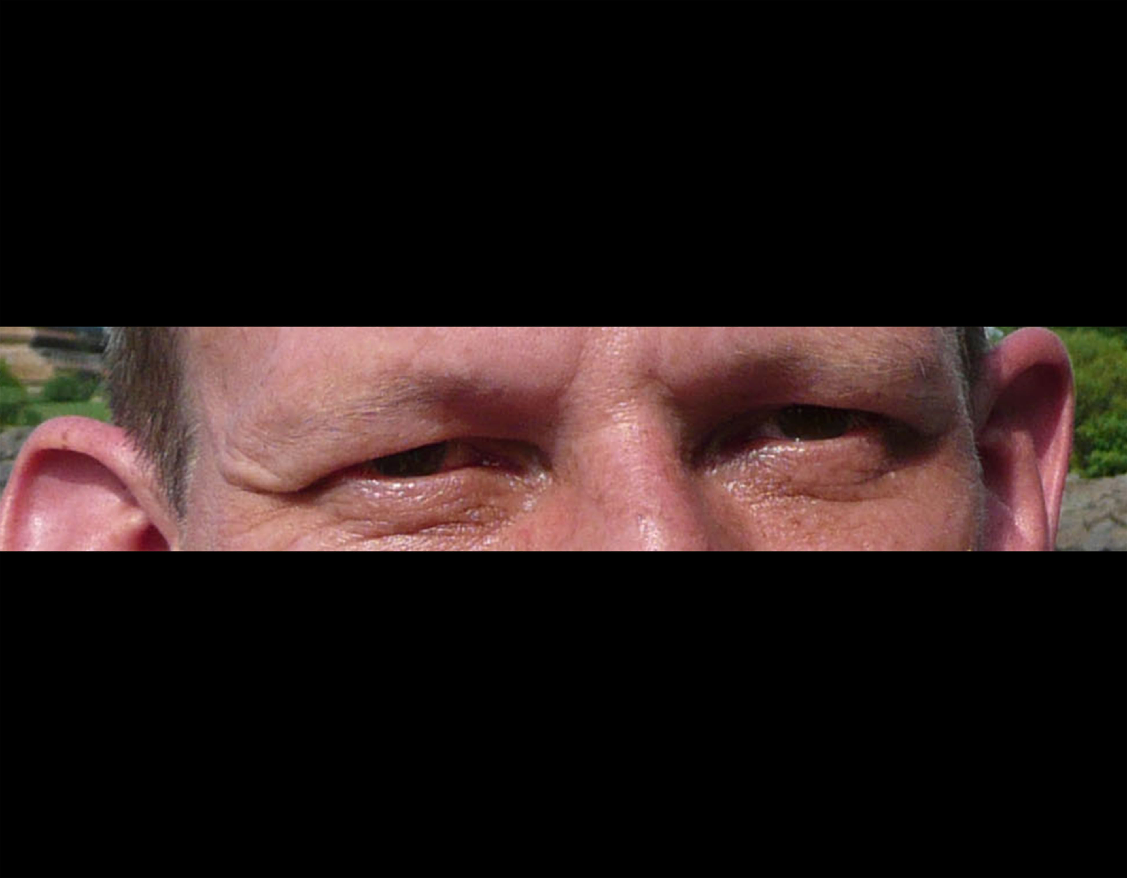 wernerg - Profile preview